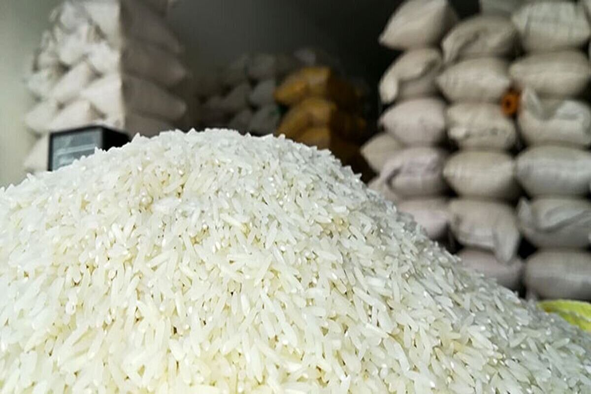 افزایش قیمت برنج مرغوب در شمال به ۴۰۰ هزار تومان