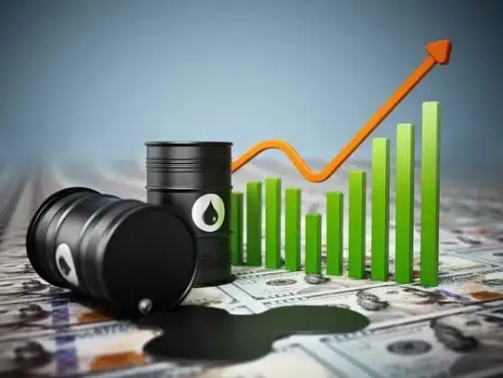 هشدار OECD درباره کاهش تولید غلات به دلیل گرانی انرژی